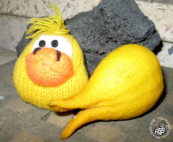 lemon duck