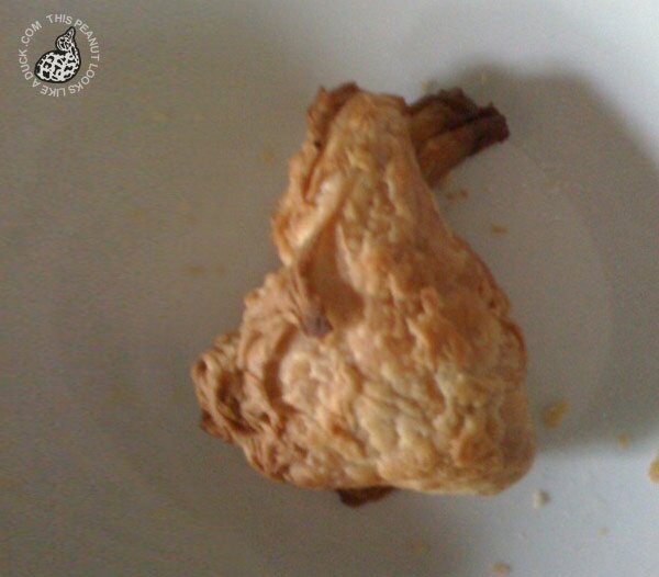 pastry-duck pastry-duck