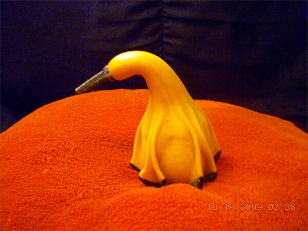 duck011